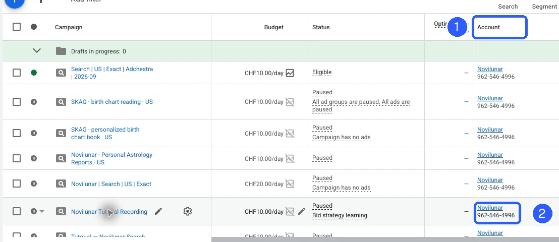 In a manager account, the advertiser ID appears below the account name. The ID at the top may belong to the manager.